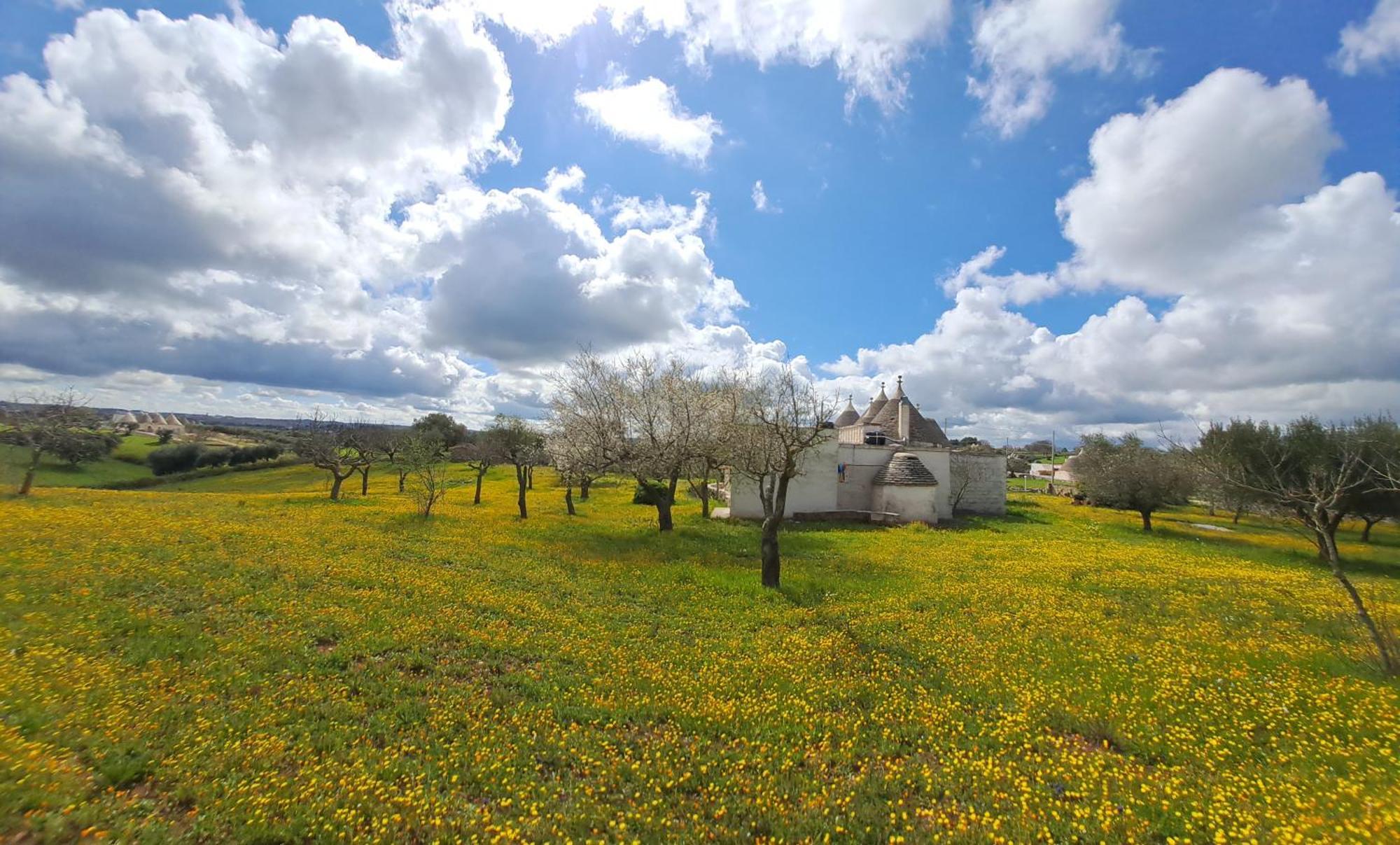 Villa Trulli Carlo Anna Locorotondo Exterior foto