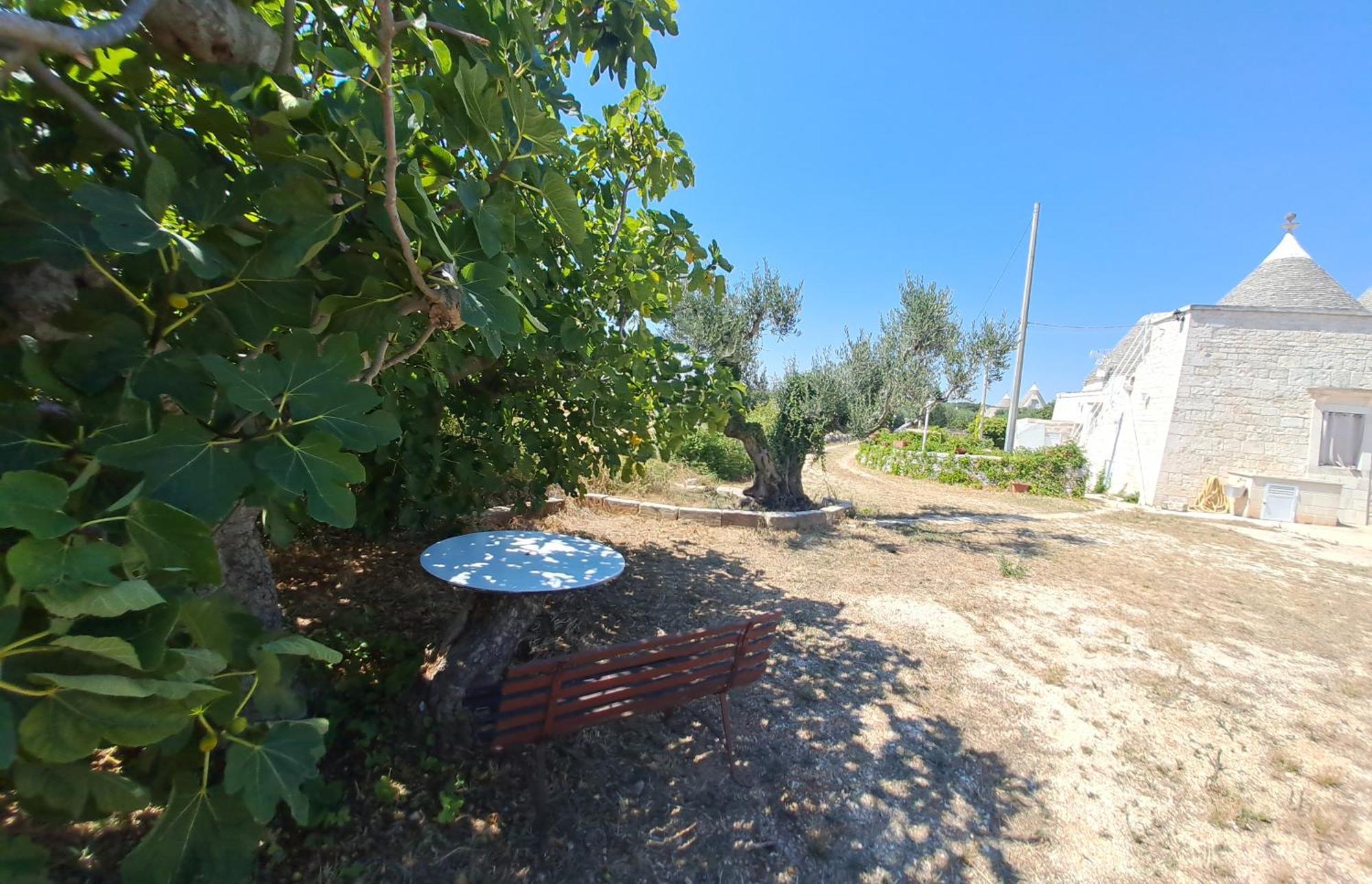 Villa Trulli Carlo Anna Locorotondo Exterior foto