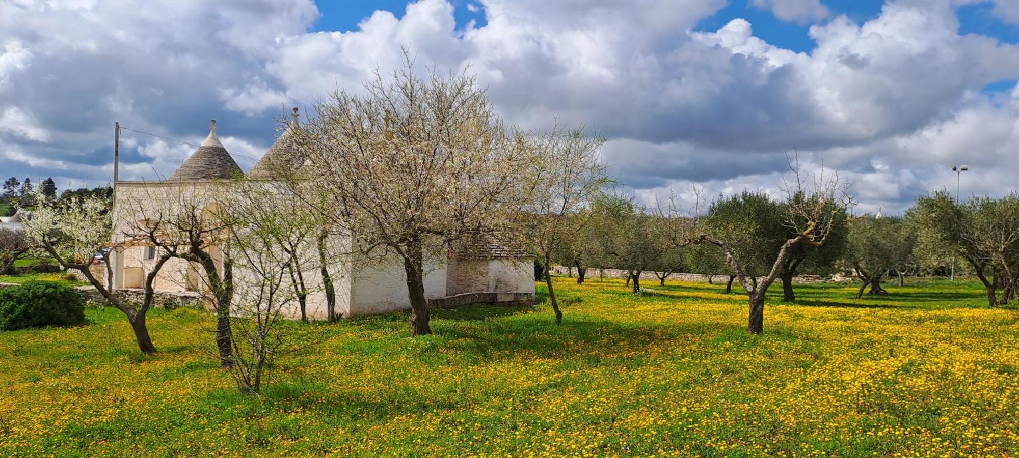 Villa Trulli Carlo Anna Locorotondo Exterior foto